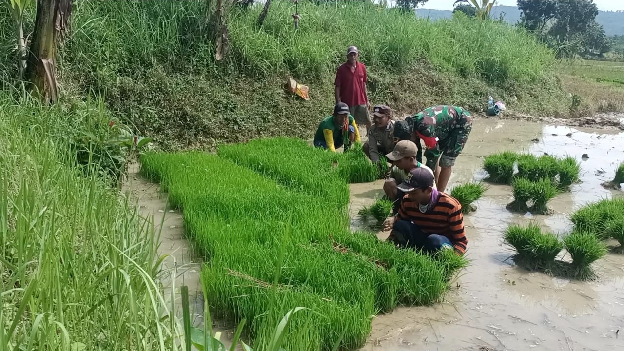 WhatsApp Image 2024-04-24 at 09.41.20