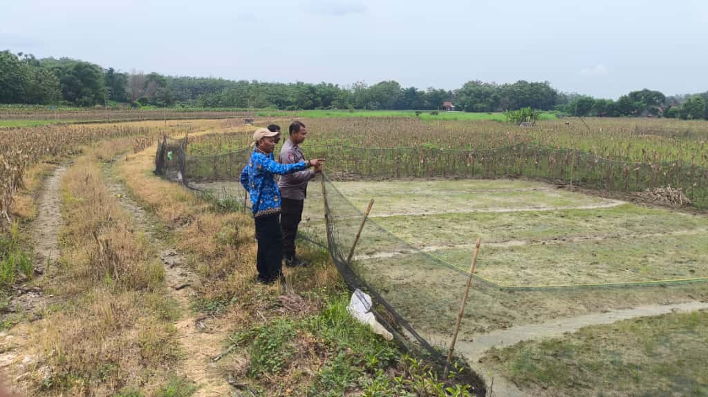 Gambar WhatsApp 2025-11-17 pukul 12.35.27_e2d706e0