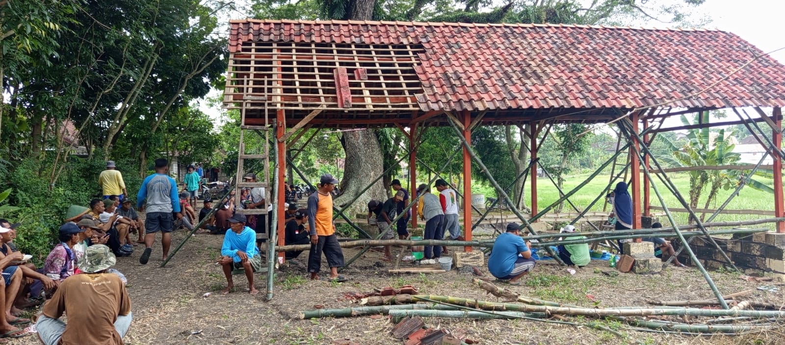 WhatsApp Image 2026-02-13 at 09.44.07