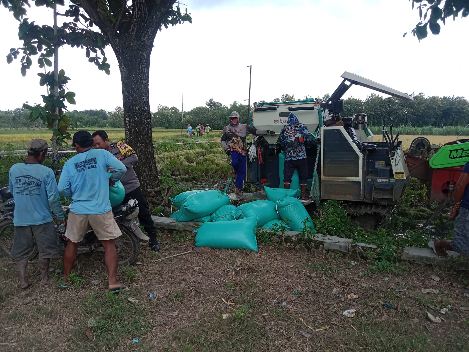 WhatsApp Image 2026-02-18 at 12.51.34