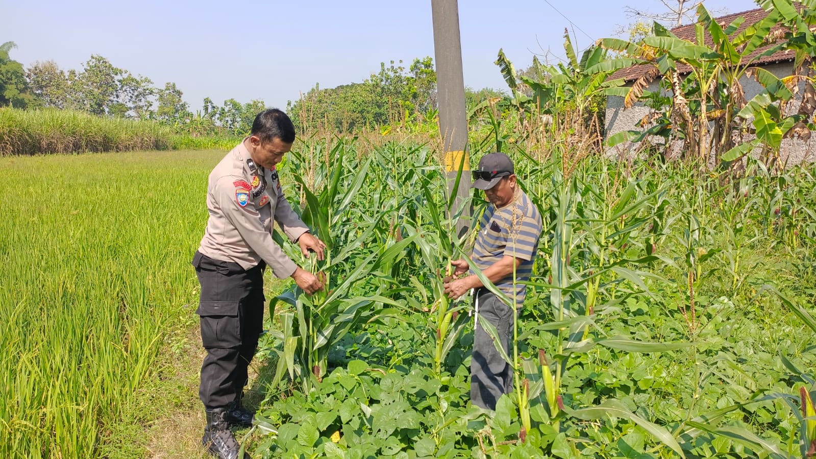WhatsApp Image 2026-06-10 at 13.04.18 (1)